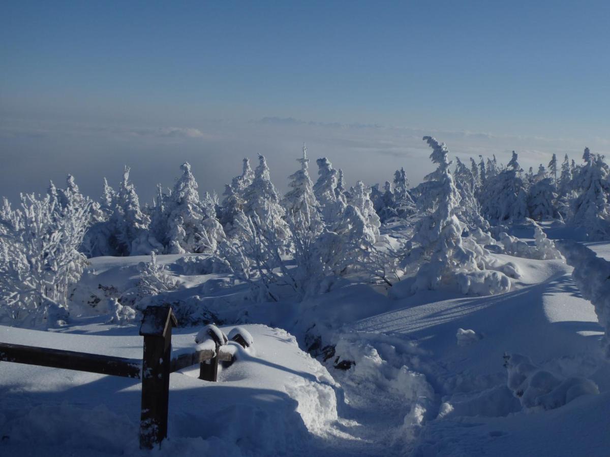 Pokoje Goscinne - Za Borem Zubrzyca Gorna Exterior photo