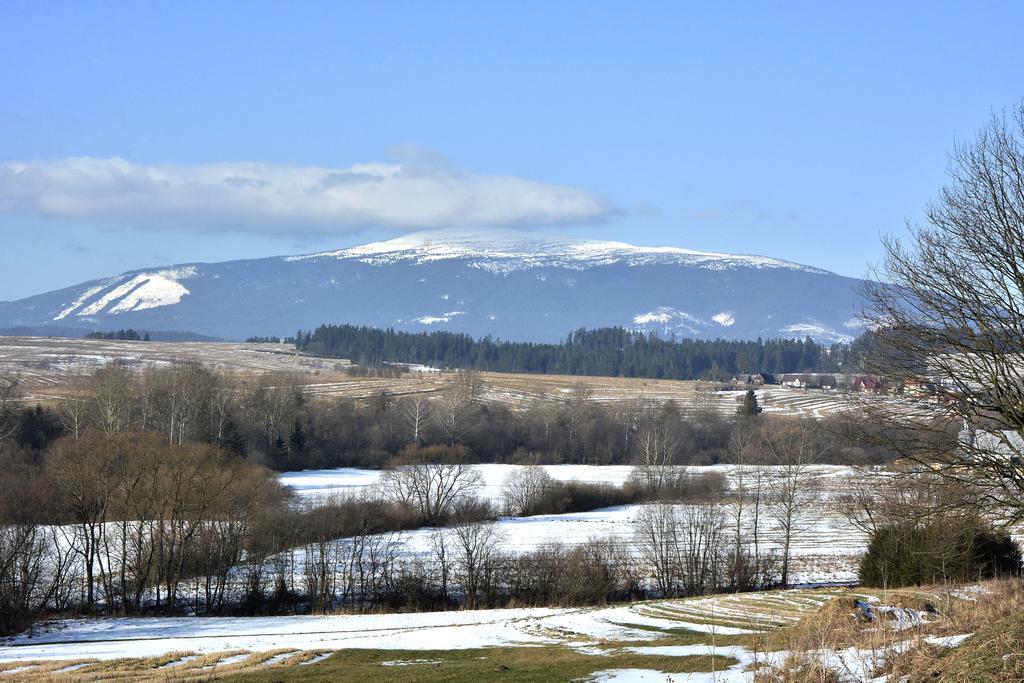 Pokoje Goscinne - Za Borem Zubrzyca Gorna Exterior photo